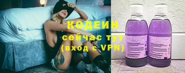 молекула духа Дмитриев
