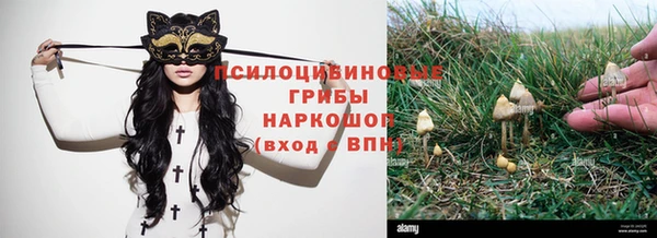 ПСИЛОЦИБИНОВЫЕ ГРИБЫ Алзамай