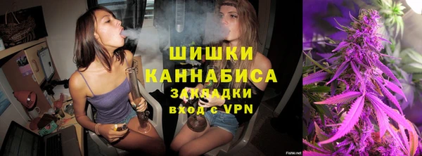 ПСИЛОЦИБИНОВЫЕ ГРИБЫ Алзамай